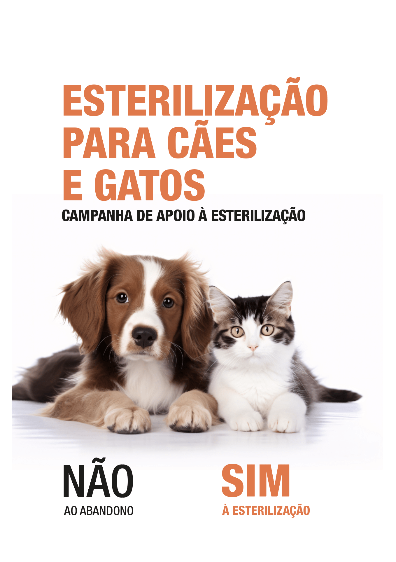 Flyer Frente