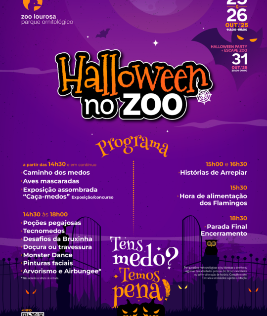 Halloween no Zoo | Dias 25, 26 e 31 de Outubro 2025